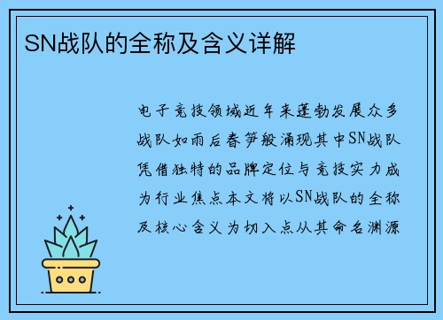SN战队的全称及含义详解